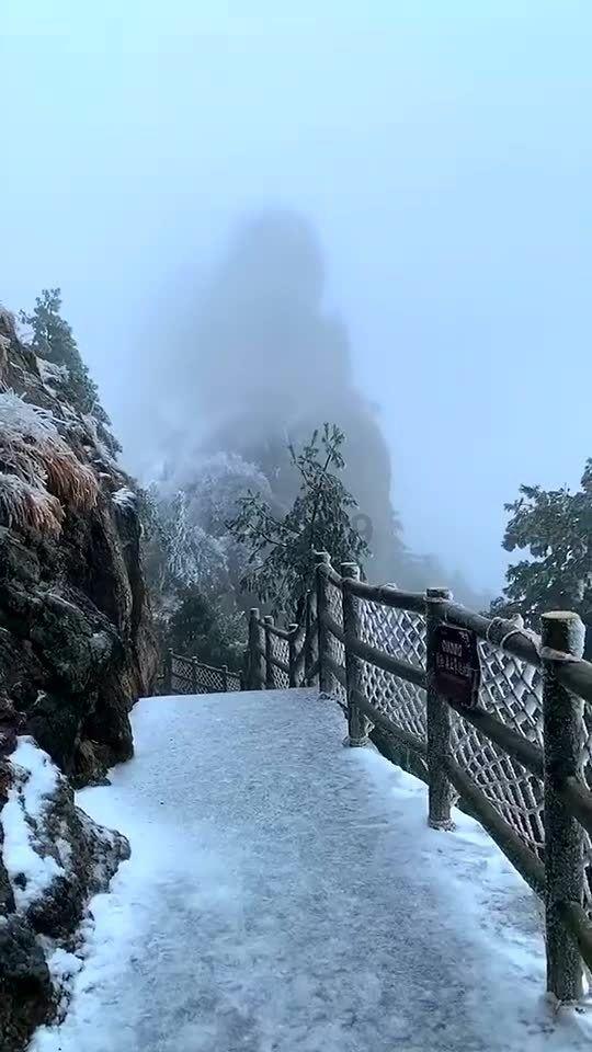 天启异闻录大结局，渥旃是寄生型外星生命，褚思镜永远留在海底