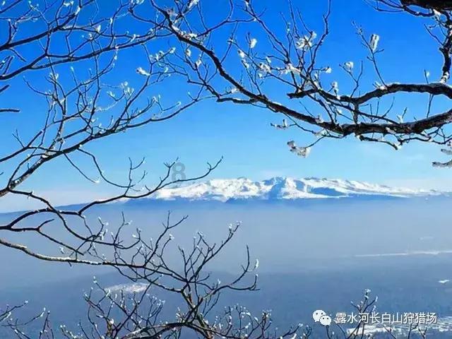 东京42