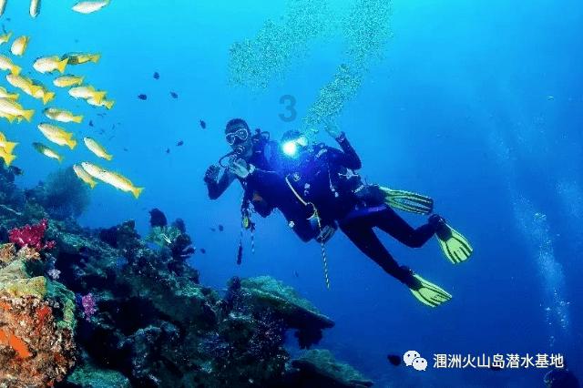 破碎的动物图形2